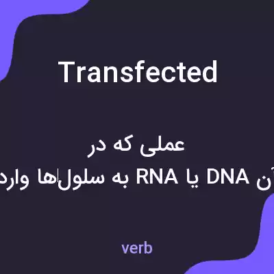 معنی transfected به فارسی معنی transfected به فارسی