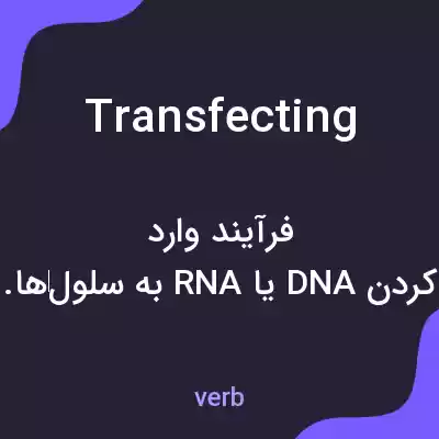 معنی transfecting به فارسی معنی transfecting به فارسی
