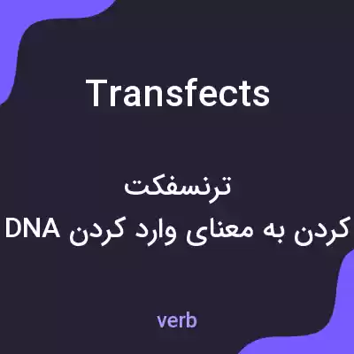 معنی transfects به فارسی معنی transfects به فارسی