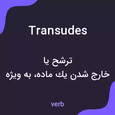 معنی transudes به فارسی معنی transudes به فارسی