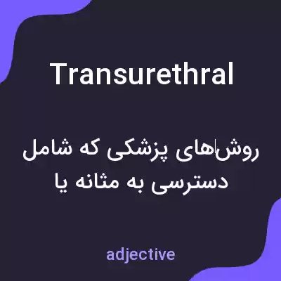 معنی transurethral به فارسی معنی transurethral به فارسی