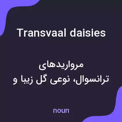 معنی transvaal daisies به فارسی معنی transvaal daisies به فارسی