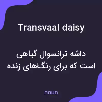 معنی transvaal daisy به فارسی معنی transvaal daisy به فارسی