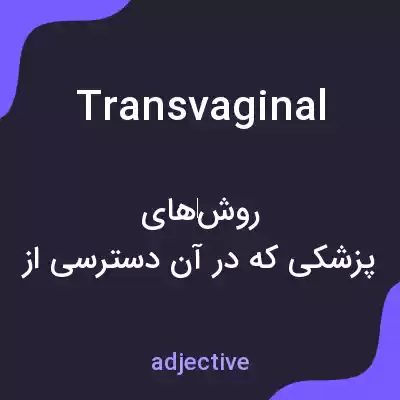 معنی transvaginal به فارسی