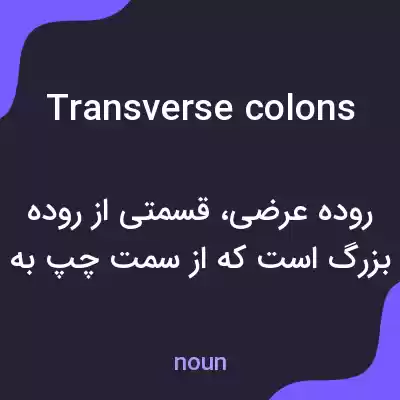 معنی transverse colons به فارسی معنی transverse colons به فارسی
