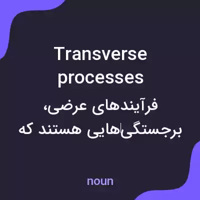 معنی transverse processes به فارسی معنی transverse processes به فارسی