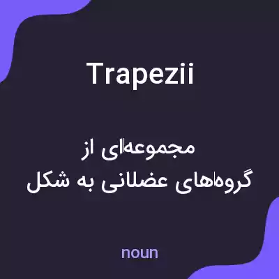 معنی trapezii به فارسی معنی trapezii به فارسی