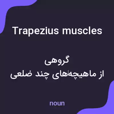 معنی trapezius muscles به فارسی معنی trapezius muscles به فارسی