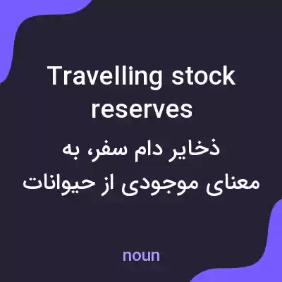 معنی travelling stock reserves به فارسی معنی travelling stock reserves به فارسی