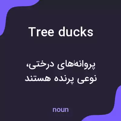 معنی tree ducks به فارسی معنی tree ducks به فارسی