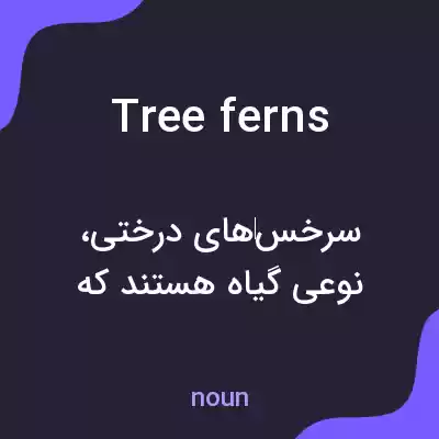 معنی tree ferns به فارسی معنی tree ferns به فارسی