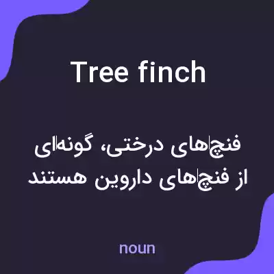 معنی tree finch به فارسی معنی tree finch به فارسی