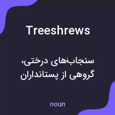 معنی treeshrews به فارسی معنی treeshrews به فارسی
