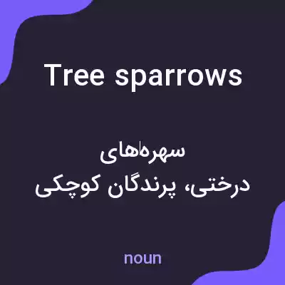 معنی tree sparrows به فارسی معنی tree sparrows به فارسی