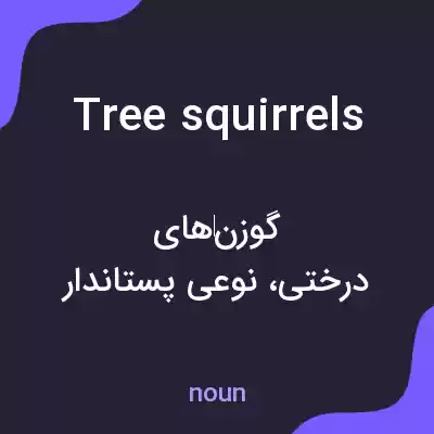 معنی tree squirrels به فارسی معنی tree squirrels به فارسی