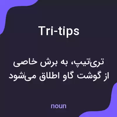 معنی tri-tips به فارسی