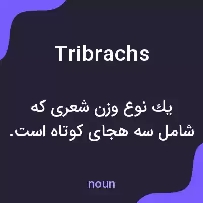 معنی tribrachs به فارسی معنی tribrachs به فارسی