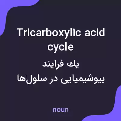 معنی tricarboxylic acid cycle به فارسی معنی tricarboxylic acid cycle به فارسی