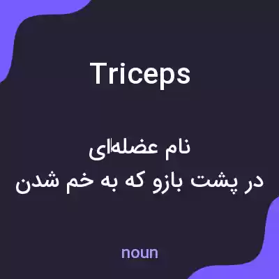 معنی triceps به فارسی معنی triceps به فارسی
