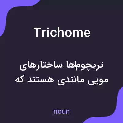 معنی trichome به فارسی معنی trichome به فارسی