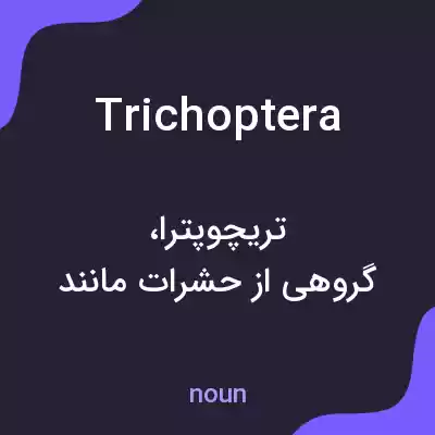 معنی trichoptera به فارسی معنی trichoptera به فارسی