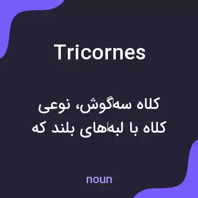 معنی tricornes به فارسی معنی tricornes به فارسی