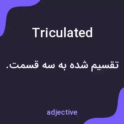 معنی triculated به فارسی معنی triculated به فارسی