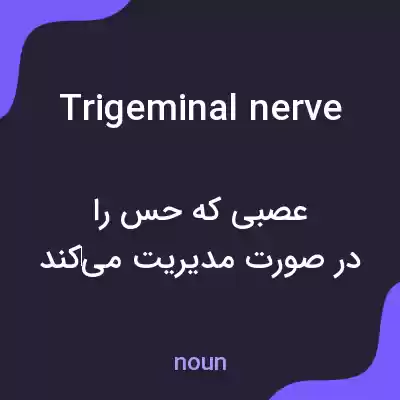 معنی trigeminal nerve به فارسی معنی trigeminal nerve به فارسی