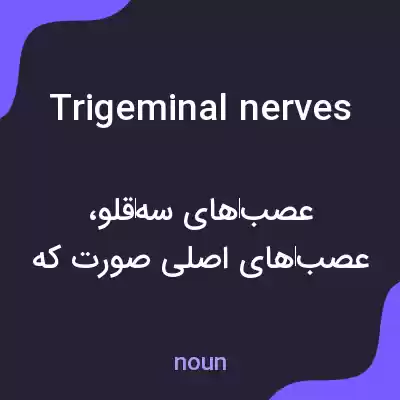 معنی trigeminal nerves به فارسی معنی trigeminal nerves به فارسی