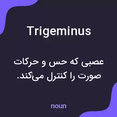 معنی trigeminus به فارسی معنی trigeminus به فارسی