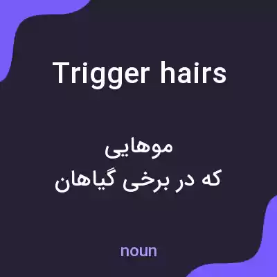 معنی trigger hairs به فارسی معنی trigger hairs به فارسی