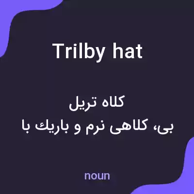 معنی trilby hat به فارسی معنی trilby hat به فارسی