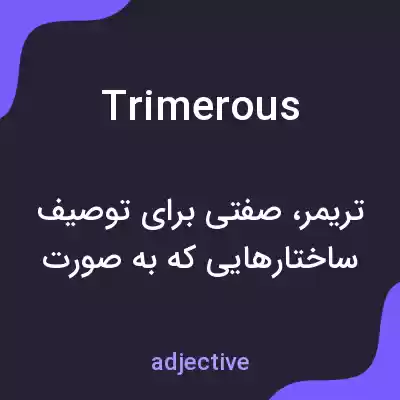 معنی trimerous به فارسی معنی trimerous به فارسی