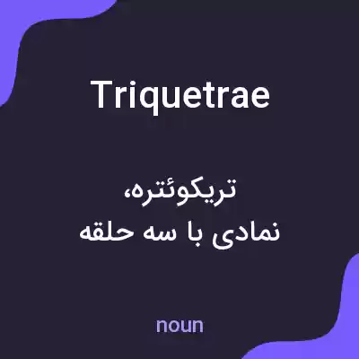 معنی triquetrae به فارسی معنی triquetrae به فارسی