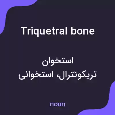 معنی triquetral bone به فارسی معنی triquetral bone به فارسی