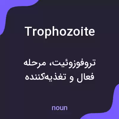 معنی trophozoite به فارسی