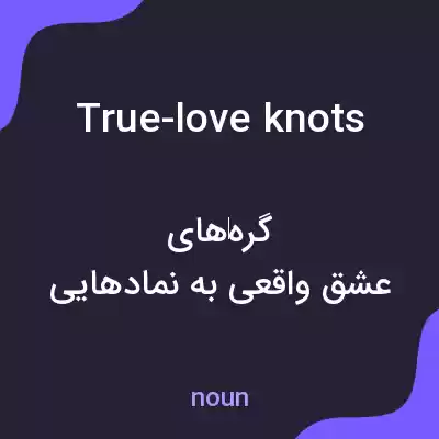 معنی true-love knots به فارسی