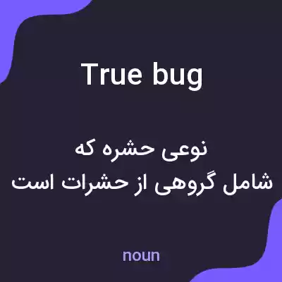 معنی true bug به فارسی معنی true bug به فارسی