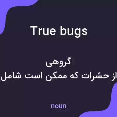 معنی true bugs به فارسی معنی true bugs به فارسی