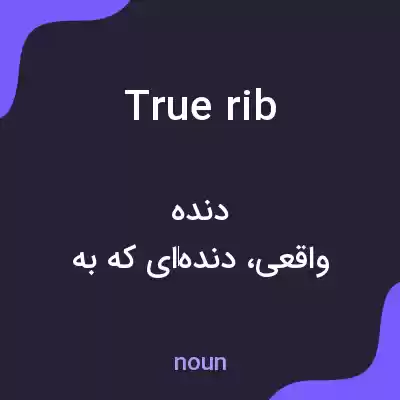 معنی true rib به فارسی معنی true rib به فارسی