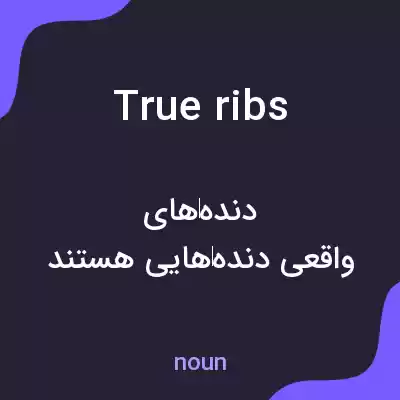 معنی true ribs به فارسی معنی true ribs به فارسی