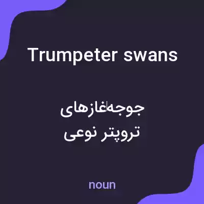 معنی trumpeter swans به فارسی معنی trumpeter swans به فارسی