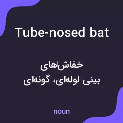 معنی tube-nosed bat به فارسی معنی tube-nosed bat به فارسی