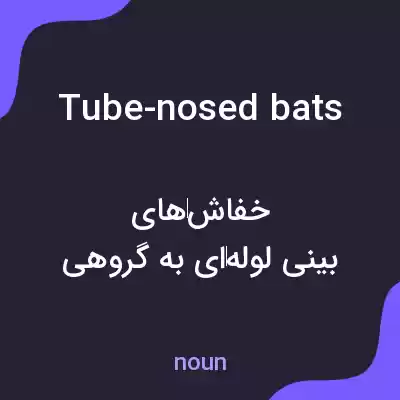 معنی tube-nosed bats به فارسی معنی tube-nosed bats به فارسی