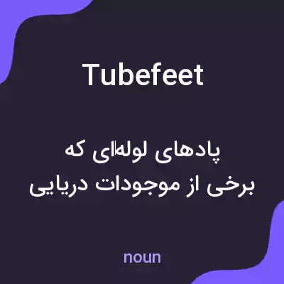 معنی tubefeet به فارسی معنی tubefeet به فارسی
