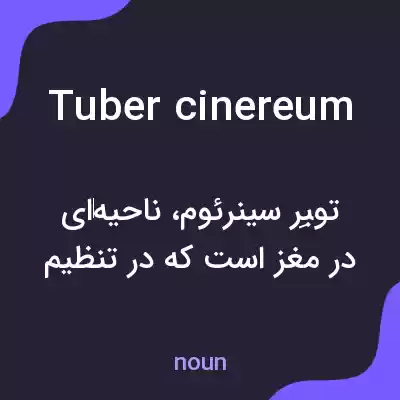 معنی tuber cinereum به فارسی معنی tuber cinereum به فارسی