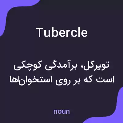 معنی tubercle به فارسی معنی tubercle به فارسی