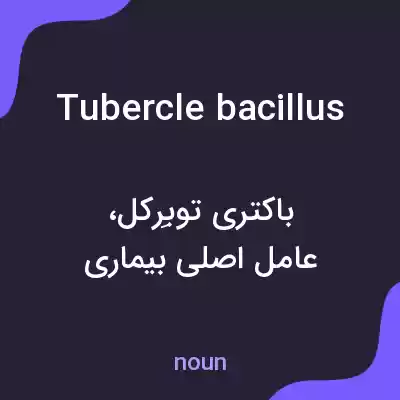 معنی tubercle bacillus به فارسی معنی tubercle bacillus به فارسی