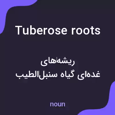 معنی tuberose roots به فارسی معنی tuberose roots به فارسی