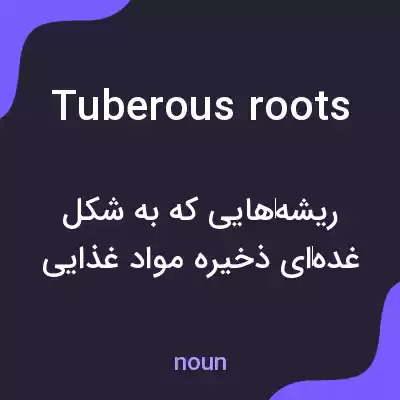 معنی tuberous roots به فارسی معنی tuberous roots به فارسی